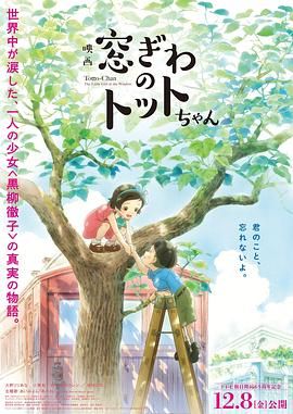 洞里的世界